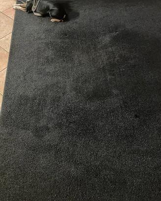 Tappeto frisé Merinos Platin 160x230 nero