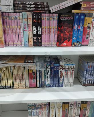 dragon ball gt z cavalieri e altre anime dvd serie