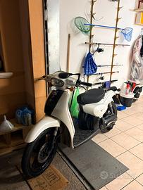 Scarabeo 70