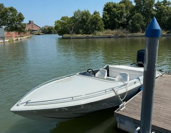 Tullio abbate sea star 20