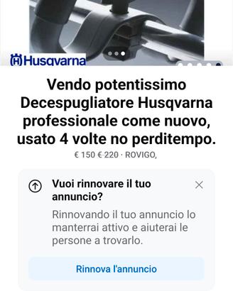 tagliaerba come nuovo professionale