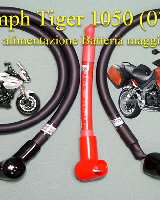 Triumph Tiger 1050 (07-12) Cavi Batteria Maggiorat