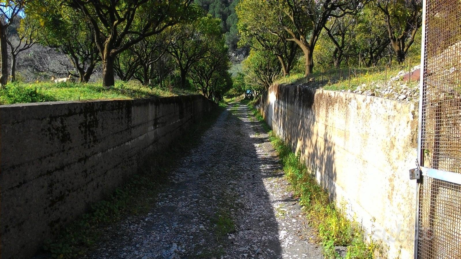 Terreno agricolo a Palma Campania - Vista 2