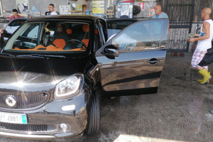 SMARTforfur 5 pt GPL 1000 71 CV PRIME 2015