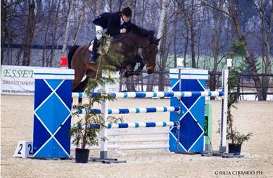 Cavalla francese gravida di Balou Star
