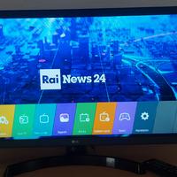 TV monitor LG 28 pollici nuovissima