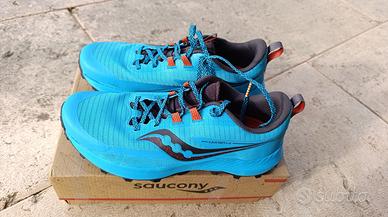 Saucony Peregrine 44