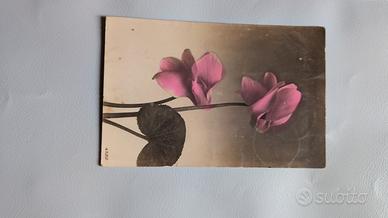 Cartolina d'epoca 
