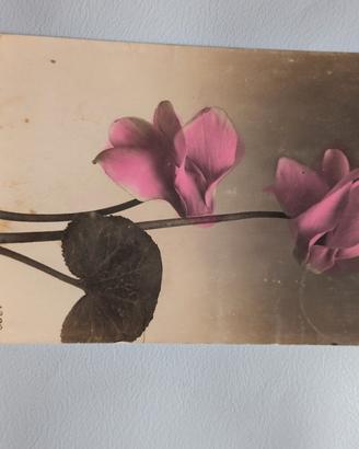 Cartolina d'epoca 
