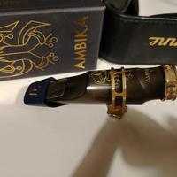 Bocchino sax tenore Theo wanne