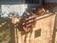 Immagine 3