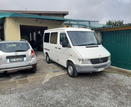 Sprinter