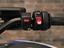 Immagine 12