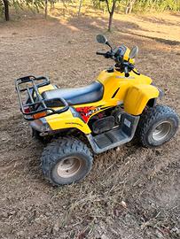 QUAD DINLI 100cc