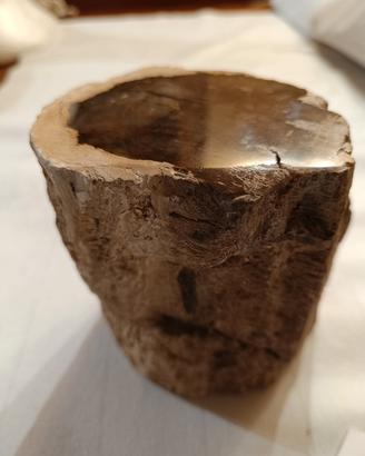 tronco di legno