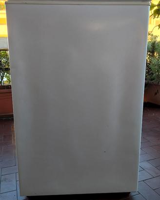 Congelatore IGNIS CE 1050