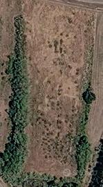 Terreno agricolo