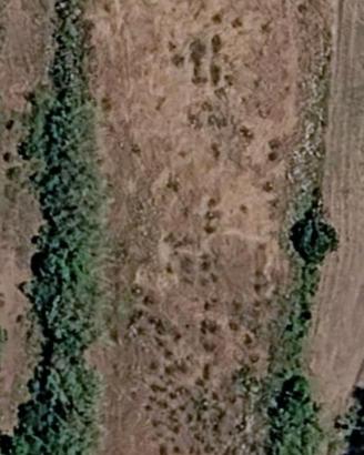 Terreno agricolo