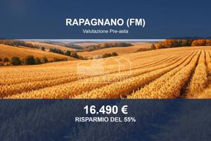 Immobile in asta di 25370 m² a Rapagnano