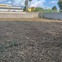 Terreno edificabile Nettuno