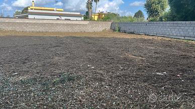 Terreno edificabile Nettuno