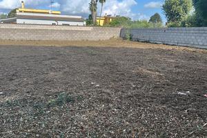 Terreno edificabile Nettuno