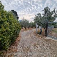 Terreno Agricolo Montemurlo [A4306366]