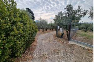 Terreno Agricolo Montemurlo [A4306366]