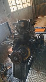 MOTORE  FIAT  NUOVA CAMPAGNOLA 