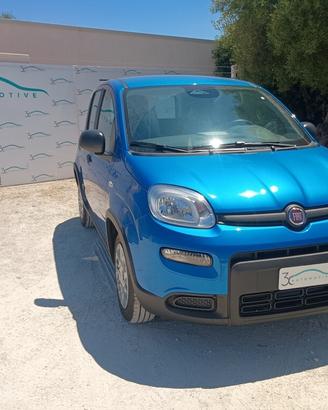 Fiat Panda 1.0 FireFly 70cv Hybrid Km0