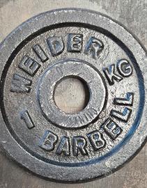 dischi palestra in ghisa