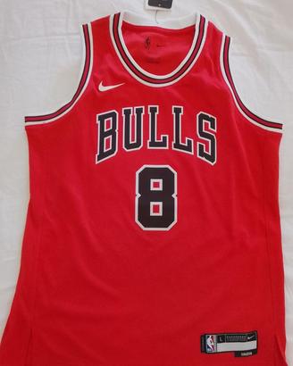 Canotta Nike NBA Chicago Bulls - Zach LaVine #8 (T