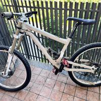Bici downhill