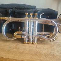  Flicornino/Cornetta in Mib 