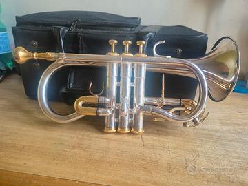  Flicornino/Cornetta in Mib 