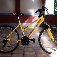 Bici da donna media