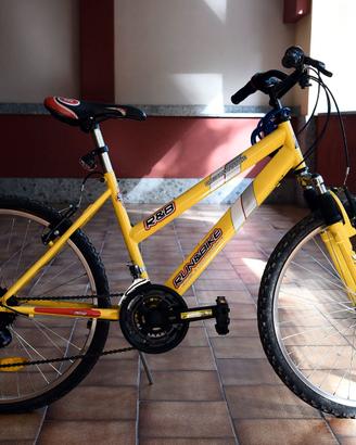 Bici da donna media