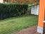 Immagine 13