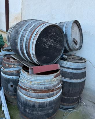 Botti in rovere