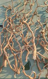 rami per decorazioni 