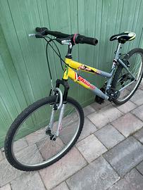 Bici  ragazzo/a