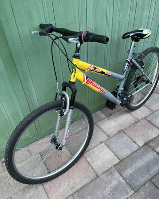 Bici  ragazzo/a