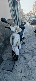 Z-Tech Elettrico (Bici/Veicolo Elettrico)