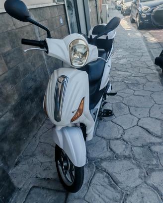 Z-Tech Elettrico (Bici/Veicolo Elettrico)