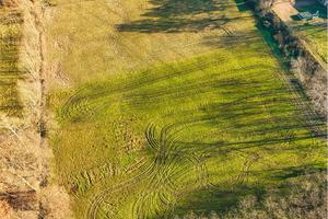 Terreno Agricolo a Bardello