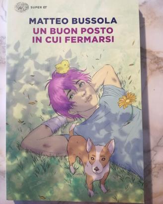 MATTEO BUSSOLA  -  IN BUON POSTO IN CUI FERMARSI