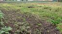 terreno-di-9500-m²-a-san-valentino-torio