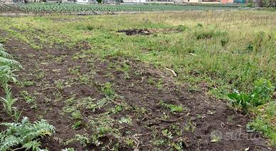 Terreno di 9500 m² a San Valentino Torio