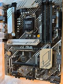 Scheda madre Asus prime B560-Plus PERFETTA