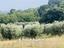 Immagine 26